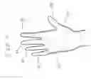 Fig. 04 - Open palm hand covers and uses of said covers