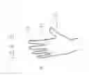 Fig. 05 - Open palm hand covers and uses of said covers