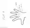 Fig. 08 - Open palm hand covers and uses of said covers