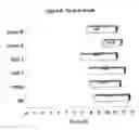 Fig. 05 - Nitrile rubber article having natural rubber characteristics