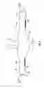 Fig. 05 - Dual purpose scarf accessory and outer protective garment