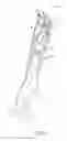Fig. 15 - Screw bit putty knife