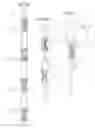 Fig. 22 - Device for securing rope in multiple configurations and process of using the same