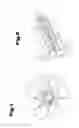 Fig. 02 - Press for producing a tampon