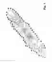 Fig. 02 - Device for setting a fastener element