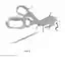 Fig. 06 - Shearing apparatus