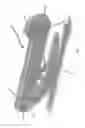 Fig. 07 - Shearing apparatus