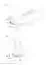 Fig. 02 - Level device for a shoe
