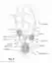 Fig. 03 - Footwear