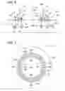 Fig. 05 - Tower base section of a wind turbine, a wind turbine and a system for mounting a tower