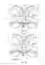 Fig. 07 - Adjustable saddle