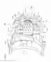 Fig. 02 - Air-staged diffusion nozzle