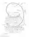Fig. 01 - Flexible mass support apparatus