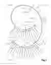 Fig. 02 - Flexible mass support apparatus