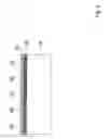 Fig. 07 - Sensor device for measuring a direction of incident flow and evaluation device therefor
