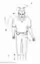 Fig. 01 - RATING A PHYSICAL CAPABILITY BY MOTION ANALYSIS