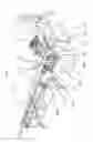Fig. 02 - TUBE CUTTING