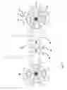 Fig. 18 - ROBOTIC PAYLOAD DELIVERY DEVICE