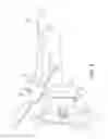 Fig. 05 - LAUNCHING DEVICE FOR CLAY TARGETS