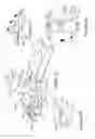 Fig. 03 - Method and apparatus for substantially artifact-free anatomic positioning