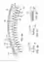 Fig. 04 - Tongue retainer