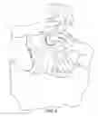 Fig. 07 - PONYTAIL ENHANCER