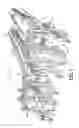 Fig. 02 - RAPID MATERIAL PLACEMENT APPLICATION FOR WIND TURBINE BLADE MANUFACTURE