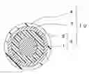 Fig. 01 - Foamed electric wire and transmission cable having same