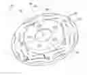 Fig. 01 - Brake rotor