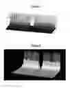 Fig. 03 - Product for removing pollutants from a fluid, and method for producing same