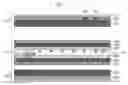 Fig. 01 - ID documents having a multi-layered laminate structure