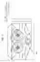 Fig. 04 - Dual Fan Sprayer