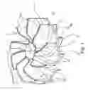 Fig. 06 - Debris vacuum with supplemental debris shearing surface