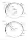 Fig. 03 - CORBELLED-SUPPORT APPARATUS
