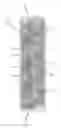 Fig. 01 - Device comprising means for guiding fluid from an inlet to an outlet