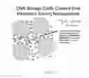 Fig. 03 - NANOPARTICLES USEFUL FOR BIOMOLECULE STORAGE