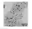 Fig. 01 - Synthesis of multinary chalcogenide nanoparticles comprising Cu, Zn, Sn, S, and Se