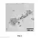 Fig. 06 - Synthesis of multinary chalcogenide nanoparticles comprising Cu, Zn, Sn, S, and Se