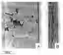 Fig. 01 - Sintering process for thermoelectric materials