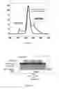 Fig. 05 - Stable and all solution processable quantum dot light-emitting diodes