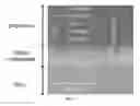 Fig. 04 - Color selective photodetector and methods of making