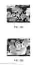 Fig. 05 - Method for preparing phosphor and light emitting device