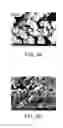 Fig. 07 - Method for preparing phosphor and light emitting device
