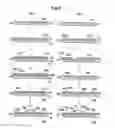 Fig. 03 - White color reflecting material and process for production thereof