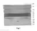 Fig. 02 - Ion sensitive sensor with multilayer construction in the sensor region