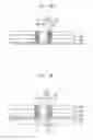Fig. 08 - Integrated Circuit Device