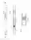 Fig. 07 - Apparatus for downhole power generation