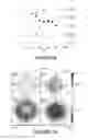 Fig. 08 - Power generation using buoyancy-induced vortices
