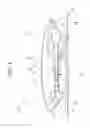 Fig. 04 - Vehicle rear windshield structure