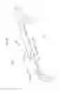 Fig. 06 - Vehicle rear windshield structure